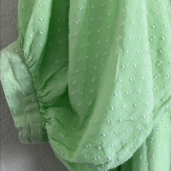 Never A Wallflower High Neck Mini Dress in Mint Green Swiss Dot. Size S - Picture 7 of 11